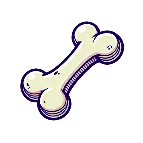 Knochen
